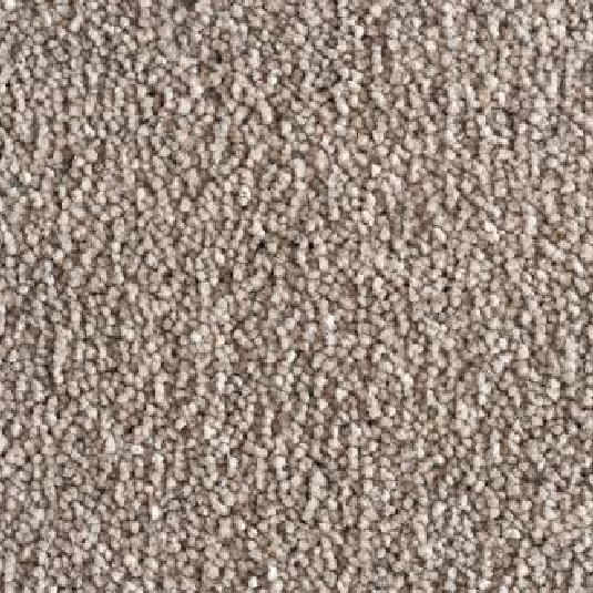 Pewter-Grey-salsa