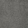 Congo-Grey-portsea