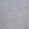 Elanus-Grey-Storm
