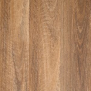 Distinct Koonya Spotted Gum