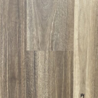Guardian Spc Spotted Gum