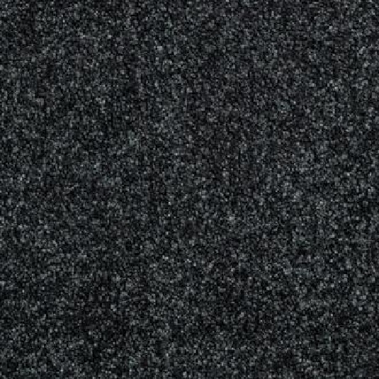 Black-Ink-Elanora