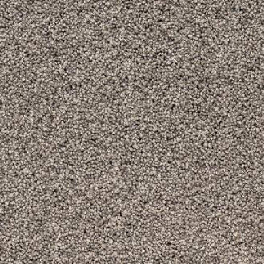 Raw-Umber-Megastar